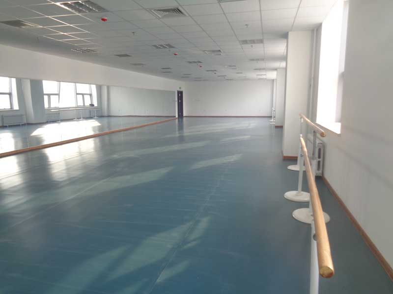 沈陽市渾南新區(qū)沈陽歌舞團(tuán)舞蹈地板